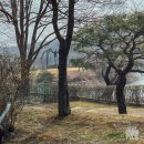 백민미술관 광장 주차장 | 용인 호암미술관 김윤신 전시 후기｜입장료, 주차, 벚꽃 상황