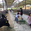 청원목장 이미지