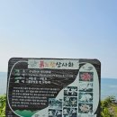 GS25 부안변산점 | 부안 송포항 데이지 절정! 일몰까지 완벽했던 5월 25일 방문 후기