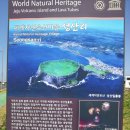 해산촌