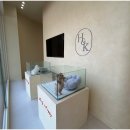 행복한 강아지 이미지