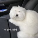 씨유 구리스퀘어점 | Umm..(수정완료—)