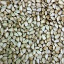 토종농산 이미지