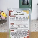 바나개 애견유치원 호텔 | 영종도애견유치원 애견호텔 섬댕 성향테스트 후기