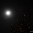 파주뽈살 이미지