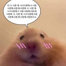 프러포즈 예물백 후기 · 2트만에 성공한 샤넬 25백 블랙 스몰 (in 신세계 강남점)