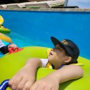 최강두리 태권도장 이미지