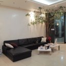 연세.모던피부과의원 이미지