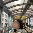 음지천 | [홍콩] 🇭🇰홍콩 3박 4일🇭🇰 | 홍콩 좋아하는 사람은 읽지 마세요🙅🏻‍♀️