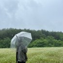 라비다(Lavida) | 비바라비다 시어윈드 바람막이