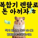 명성토탈인쇄 | 정선군 복합기 대여 어디서 해야 할까? 꼼꼼 비교 분석