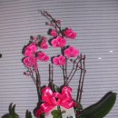 한천면사무소 이미지