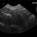 탄방메디칼 이미지