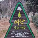 행운나무복권 이미지