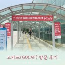 홍도어린이집 | 고카프(GOCAF) 킨텍스 평일 오전 방문 후기