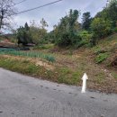 유룡리농장 이미지