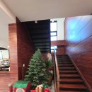 아산밸리로 | 카페에이치밸리 아산조용한카페추천 내돈내산솔직후기