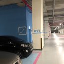 스타벅스 호계지식산업센터점 | 금정역 스타벅스, 안양 스타벅스 '호계지식산업센터점'