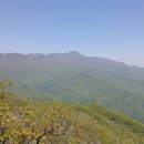 260505 하동 외삼신봉,삼신봉,삼신산(내삼신봉) 이미지