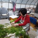 윤경농장 이미지