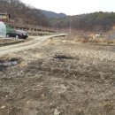 살미면사무소 이미지