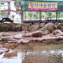 월악여울펜션 이미지