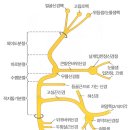 에코맑은하루신경과의원 네이버블로그