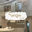 뷰티코스메틱 | 8월 성수 뷰티 팝업, 닥터콤마 쇼룸 더마코스메틱 스킨케어 브랜드 사용 후기