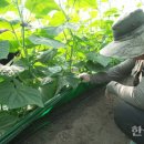 씨엠씨 한국농업신문