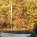 엔젤 식물원 이미지