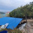 고금 숭유사 이미지