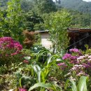 전원모텔 이미지