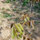 종근목장 이미지