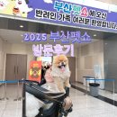 펫더스타일 | 부산펫쇼 2025 첫째날 다녀온 후기 방문시 꿀팁 안내