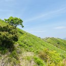 소백산 (22.5.28, 수정본) 이미지