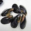 어부들 사이에선 "명약으로 소문난" 천연 간 해독제로 불리는 의외의 음식, '홍합' 이미지