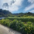 양지바른농장 이미지