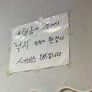 돼지품은해녀