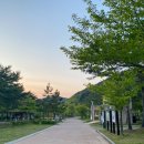 팔영산오토캠핑장 이미지