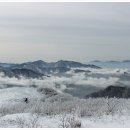 새뜻하게 이미지