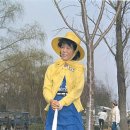 샐리가든 이미지