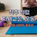 척추튼튼스트레칭을 통한 자세교정 | 올바른 척추정렬 지키는 운동 및 자세교정 꿀팁, 척추 건강 왜 중요할까?