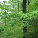 건강한손발마사지 이미지