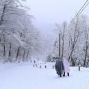 자작나무한의원 이미지