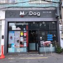 미스터독 | 애견미용으로 핫하다는 그 곳, 부산 서면 전포동에 미스터독
