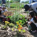 자립농장 이미지