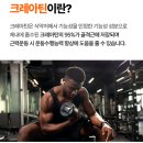 익스트림피트니스 | [익스트림 모노크레아틴 플러스 600g 2주 섭취 단점과 솔직한 변화]