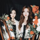 아샤트리 카카오 검색결과