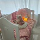 라르고안경 | [아기 50일 촬영] 3. 2주 차. 스튜디오 라르고 후기ㅣ내돈내산