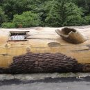 백두산휴게소 이미지